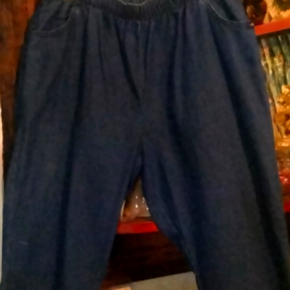 16 petite Chic stretch front pocket Jean (tdb6)